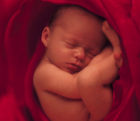 MEANING: Significado.